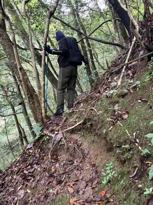 聖神社(高知県)