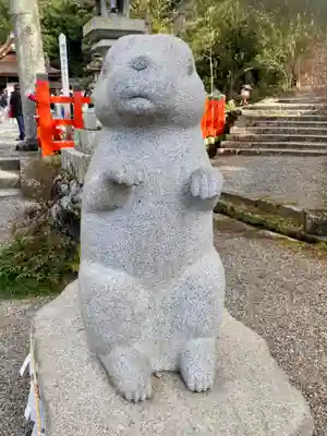 出雲大神宮の狛犬