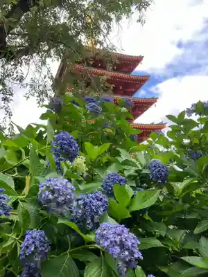 高幡不動尊　金剛寺(東京都)