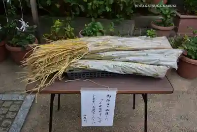 川越八幡宮(埼玉県)