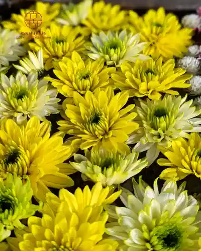 立志神社(滋賀県)