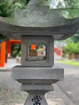 浜松秋葉神社のその他建物