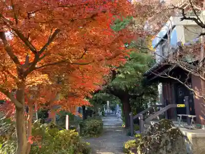 普門院(東京都)
