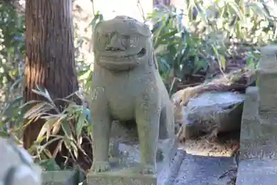 三渡神社の狛犬
