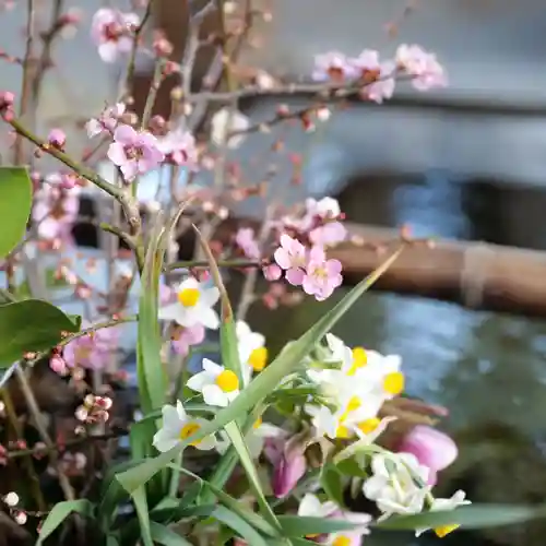 高司神社〜むすびの神の鎮まる社〜(福島県)