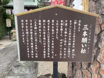 中野沼袋氷川神社(東京都)