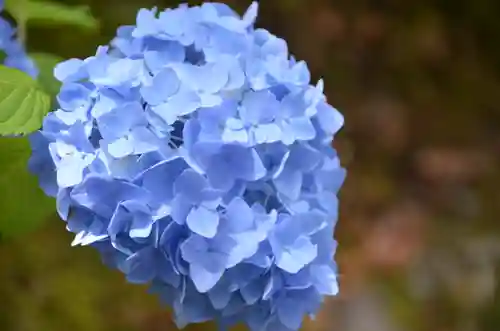 東福禅寺（東福寺）(京都府)