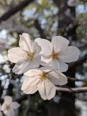 多田神社(東京都)
