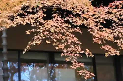 石清水八幡宮の自然