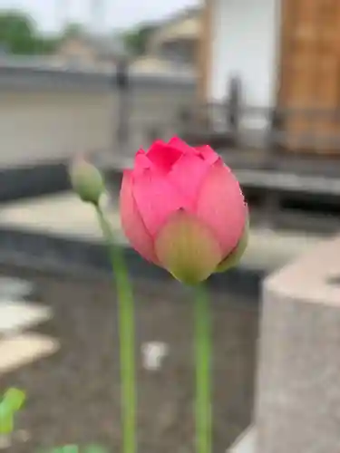 上行寺(静岡県)