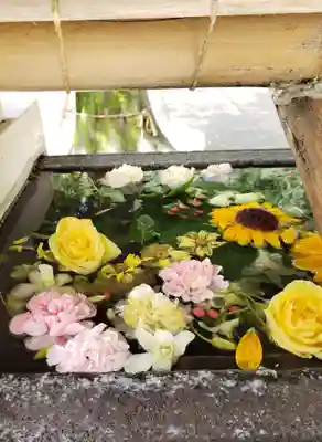 鳩森八幡神社の手水舎