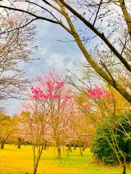 女化神社の自然