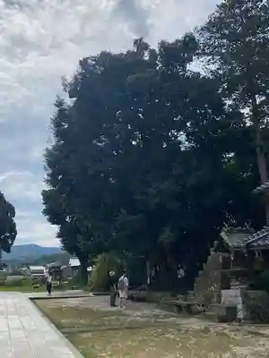 揖夜神社(島根県)
