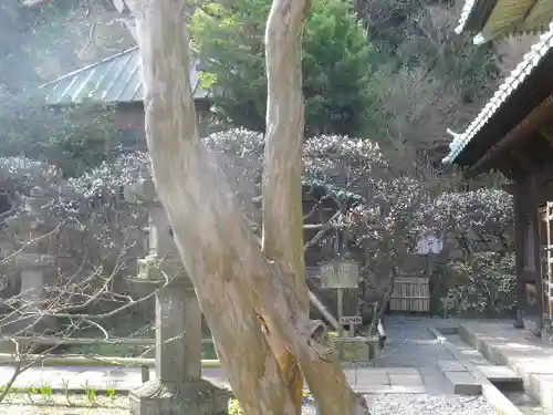 英勝寺のその他建物