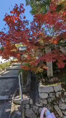 西圓寺(京都府)
