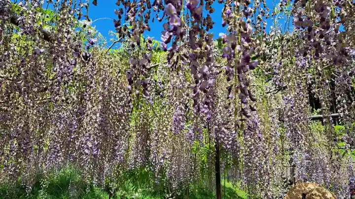 天台宗 五大山 白毫寺(兵庫県)