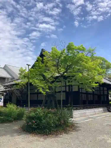 水無瀬神宮の{uncategorized: "未分類", other: "その他", undefined: "問題あり", building: "その他建物", grave: "お墓", sacred_gate: "鳥居", guardian: "狛犬", statue: "像", buddha: "仏像", history: "歴史", nature: "自然", garden: "庭園", animal: "動物", pagoda: "塔", temizu: "手水舎", mountain_gate: "山門・神門", sanctuary: "本殿・本堂", subordinate: "末社・摂社", art: "芸術", scenery: "景色", jizo: "地蔵", ema: "絵馬", goshuin: "御朱印", omikuji: "おみくじ", items: "授与品その他", amulet: "お守り", goshuincho: "御朱印帳", eats: "食事", festival: "お祭り", votive_dance: "神楽", shichigosan: "七五三参", wedding: "結婚式", experience: "体験その他", initially: "初詣", around: "周辺", anti_infection: "感染症対策"}