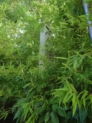 江東天祖神社(東京都)