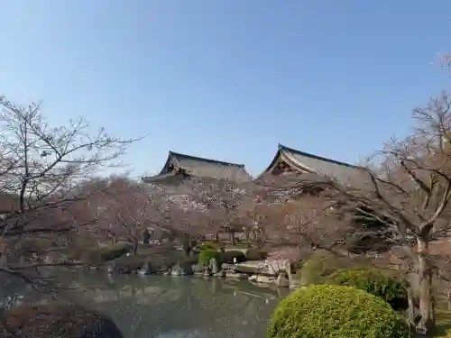東寺（教王護国寺）の{uncategorized: "未分類", other: "その他", undefined: "問題あり", building: "その他建物", grave: "お墓", sacred_gate: "鳥居", guardian: "狛犬", statue: "像", buddha: "仏像", history: "歴史", nature: "自然", garden: "庭園", animal: "動物", pagoda: "塔", temizu: "手水舎", mountain_gate: "山門・神門", sanctuary: "本殿・本堂", subordinate: "末社・摂社", art: "芸術", scenery: "景色", jizo: "地蔵", ema: "絵馬", goshuin: "御朱印", omikuji: "おみくじ", items: "授与品その他", amulet: "お守り", goshuincho: "御朱印帳", eats: "食事", festival: "お祭り", votive_dance: "神楽", shichigosan: "七五三参", wedding: "結婚式", experience: "体験その他", initially: "初詣", around: "周辺", anti_infection: "感染症対策"}
