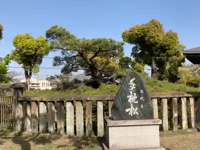 住吉神社のその他建物