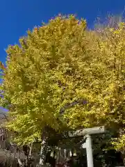 葛原岡神社(神奈川県)