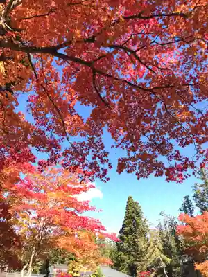 壇上伽藍(和歌山県)