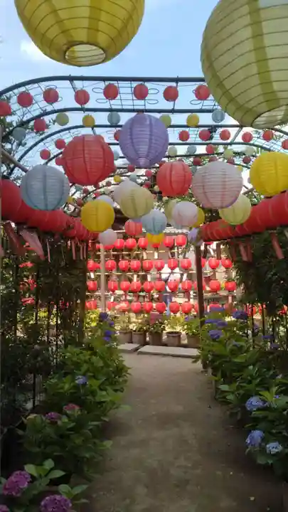 おふさ観音(観音寺)(奈良県)