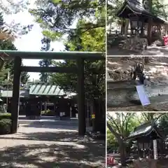 琴似神社の鳥居