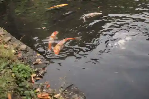 都農神社の庭園