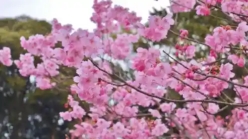 熊野若王子神社の自然