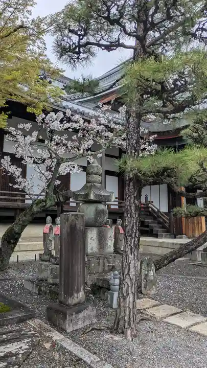 清浄華院(京都府)
