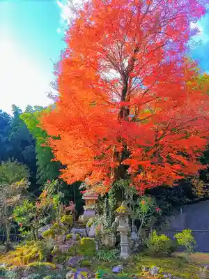 禅徳寺の末社・摂社
