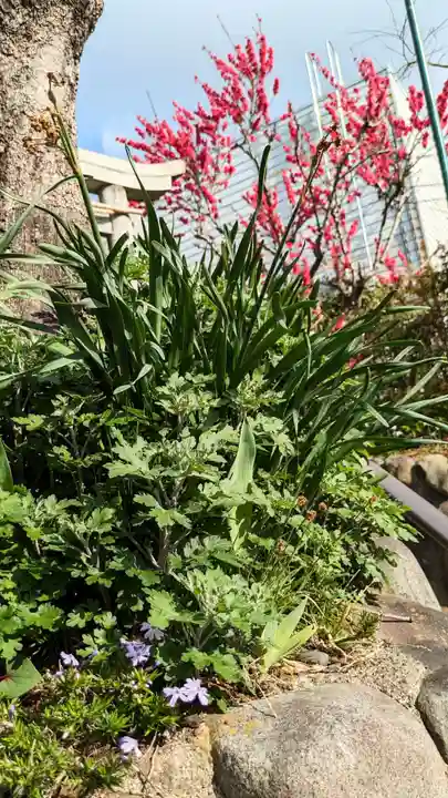 横浜御嶽神社(神奈川県)