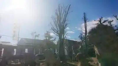 正明神社の狛犬