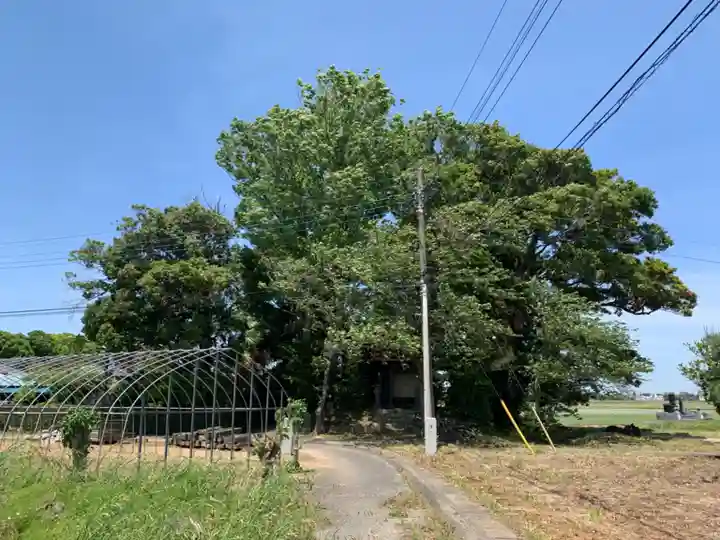 氷川神社(千葉県)