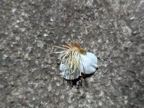 玉眞院玉川大師(東京都)