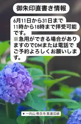 専念寺(大阪府)