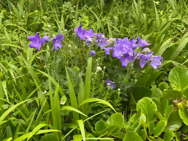 三角寺(愛媛県)