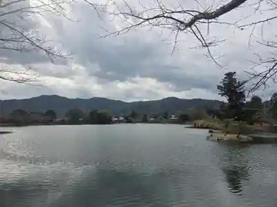 大覚寺(京都府)