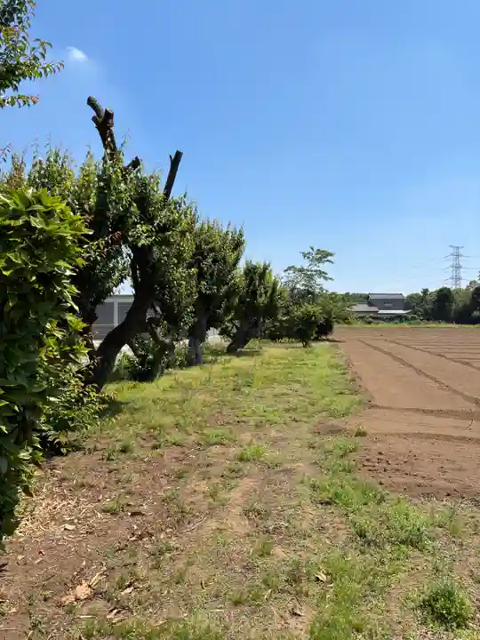 稲荷神社(千葉県)