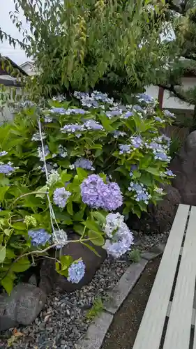 大松禅寺(京都府)