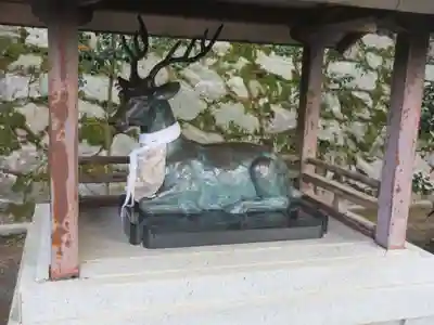 吉田神社の狛犬