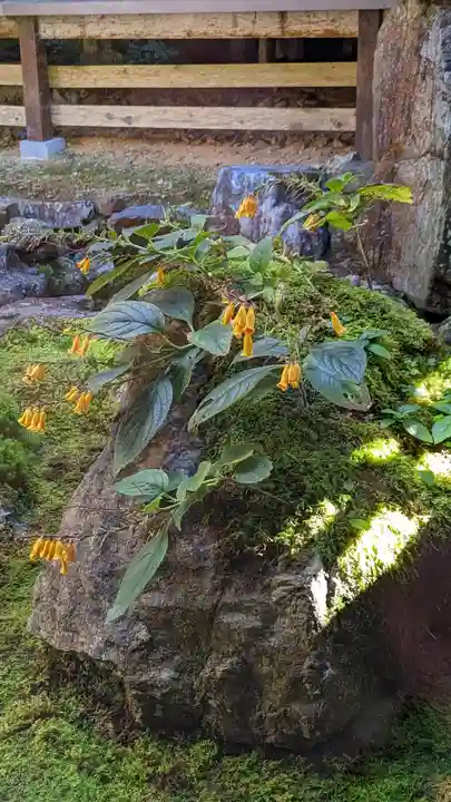 古知谷阿弥陀寺(京都府)