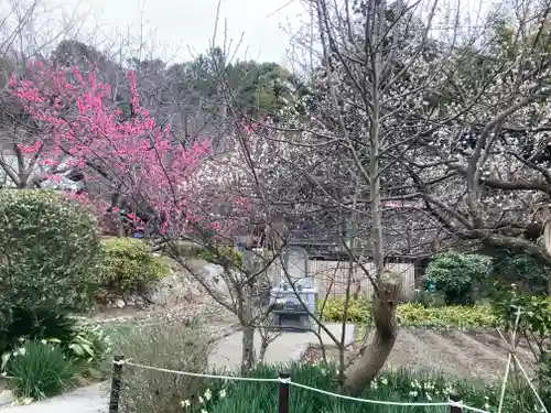 龍寳寺（龍宝寺）(神奈川県)