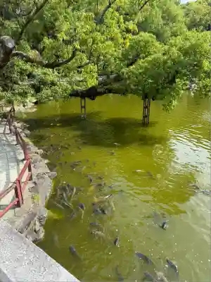 宗像大社(福岡県)