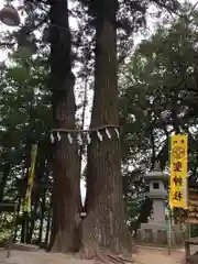 聖神社の自然
