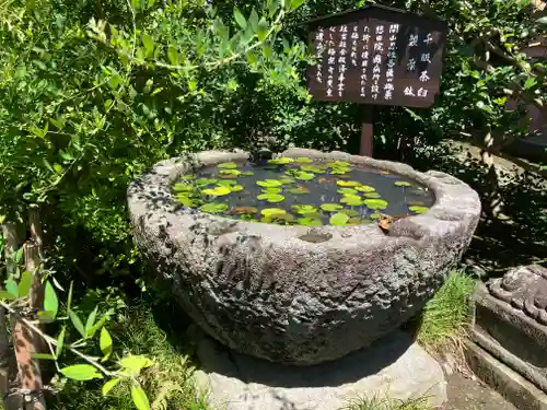 極楽寺（霊鷲山感應院極楽律寺）の手水舎