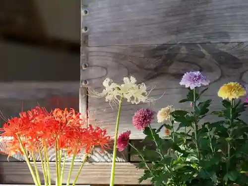 高司神社〜むすびの神の鎮まる社〜(福島県)