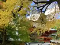 香取神宮(千葉県)