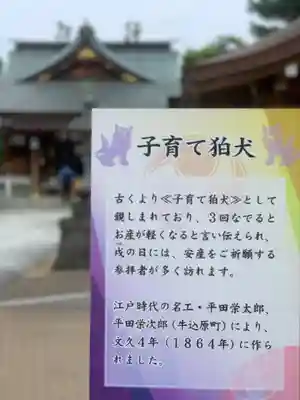 中野沼袋氷川神社の歴史